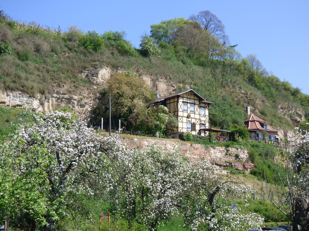 Partzsch Apartment Wethau Exteriör bild